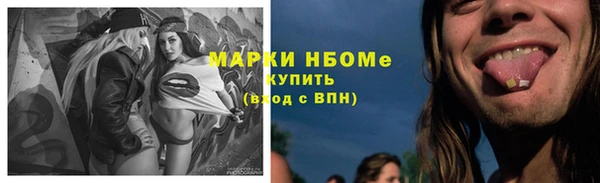 ECSTASY Белокуриха