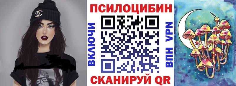 hydra сколько стоит Болотное Галлюциногенные грибы Psilocybe