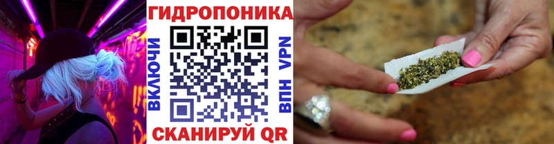 купить наркоту  Болотное  Марихуана конопля 